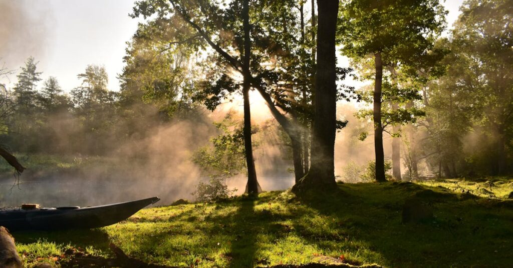 Sunlight streaming through trees with mist over a tranquil river in Ormanäs, Sweden.